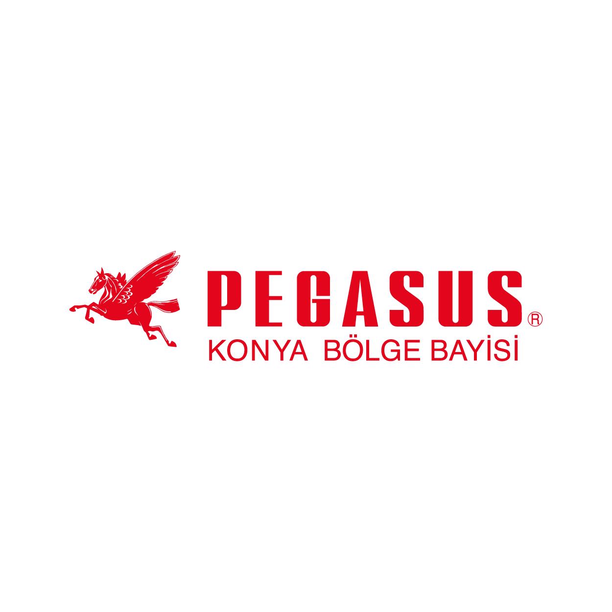 PEGASUS